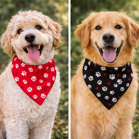 Paw Prints & Hearts Reversible Scrunchie Dog Bandana