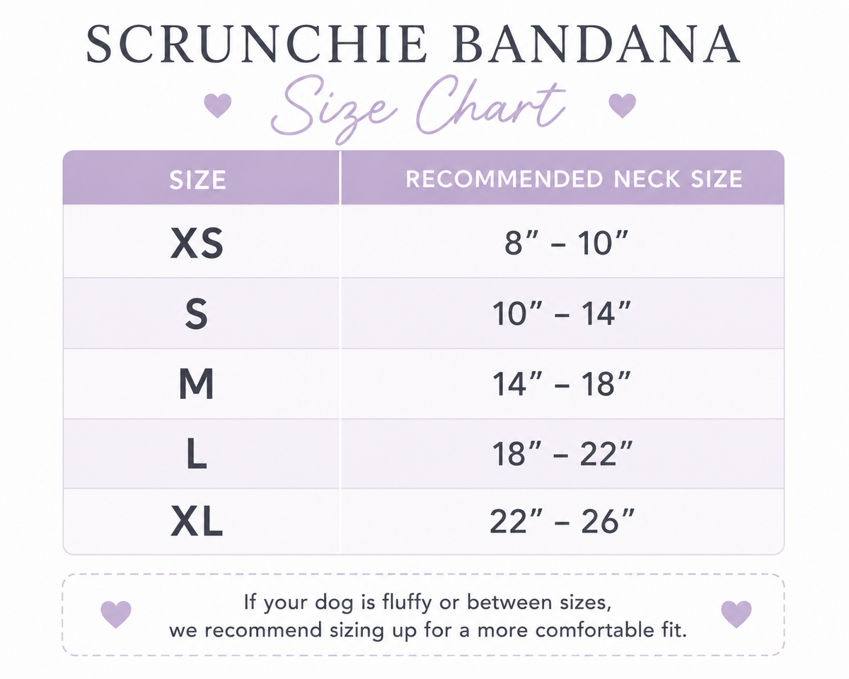 Donut Scrunchie Dog Bandana