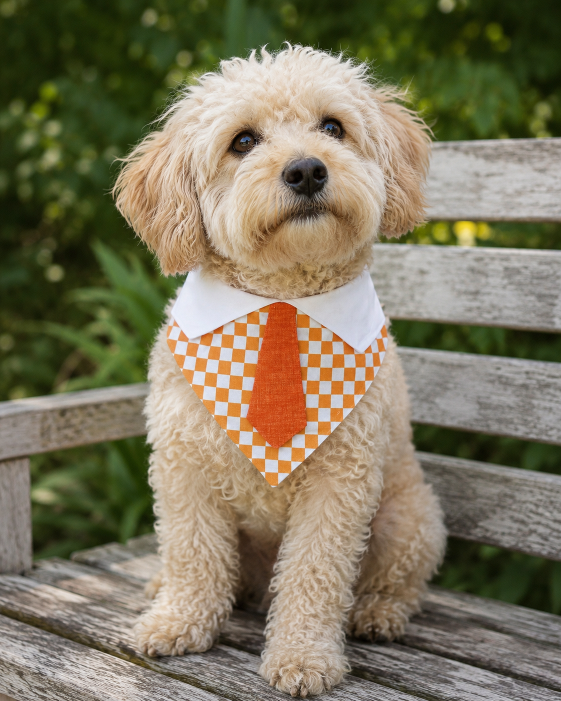 Orange Checkered Scrunchie Dog Bandana with Tie