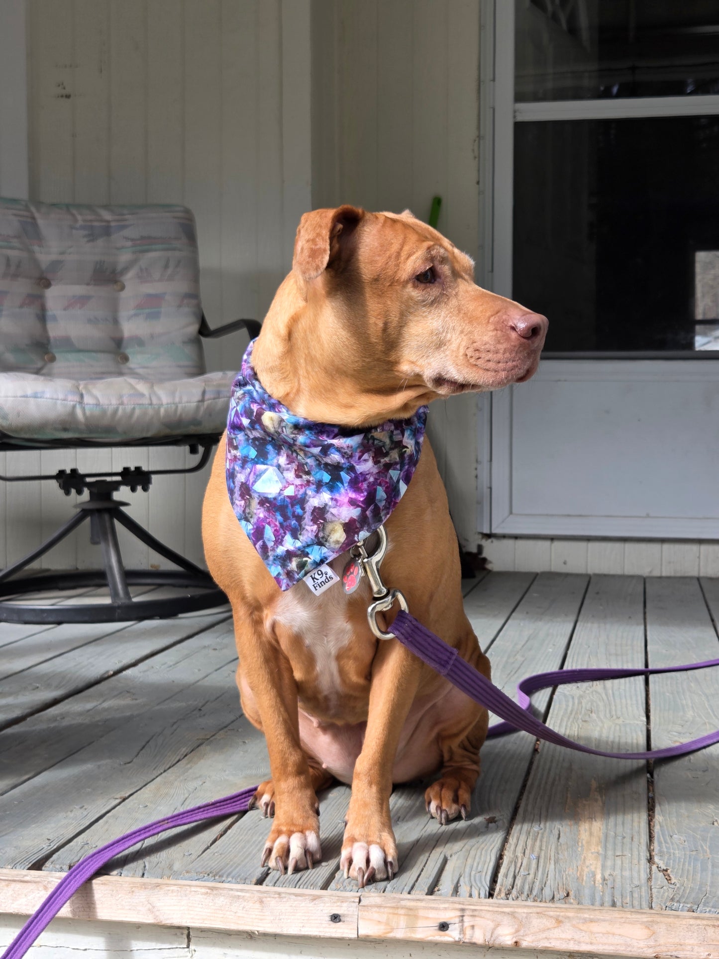 Amethyst Over-the-Collar Dog Bandana