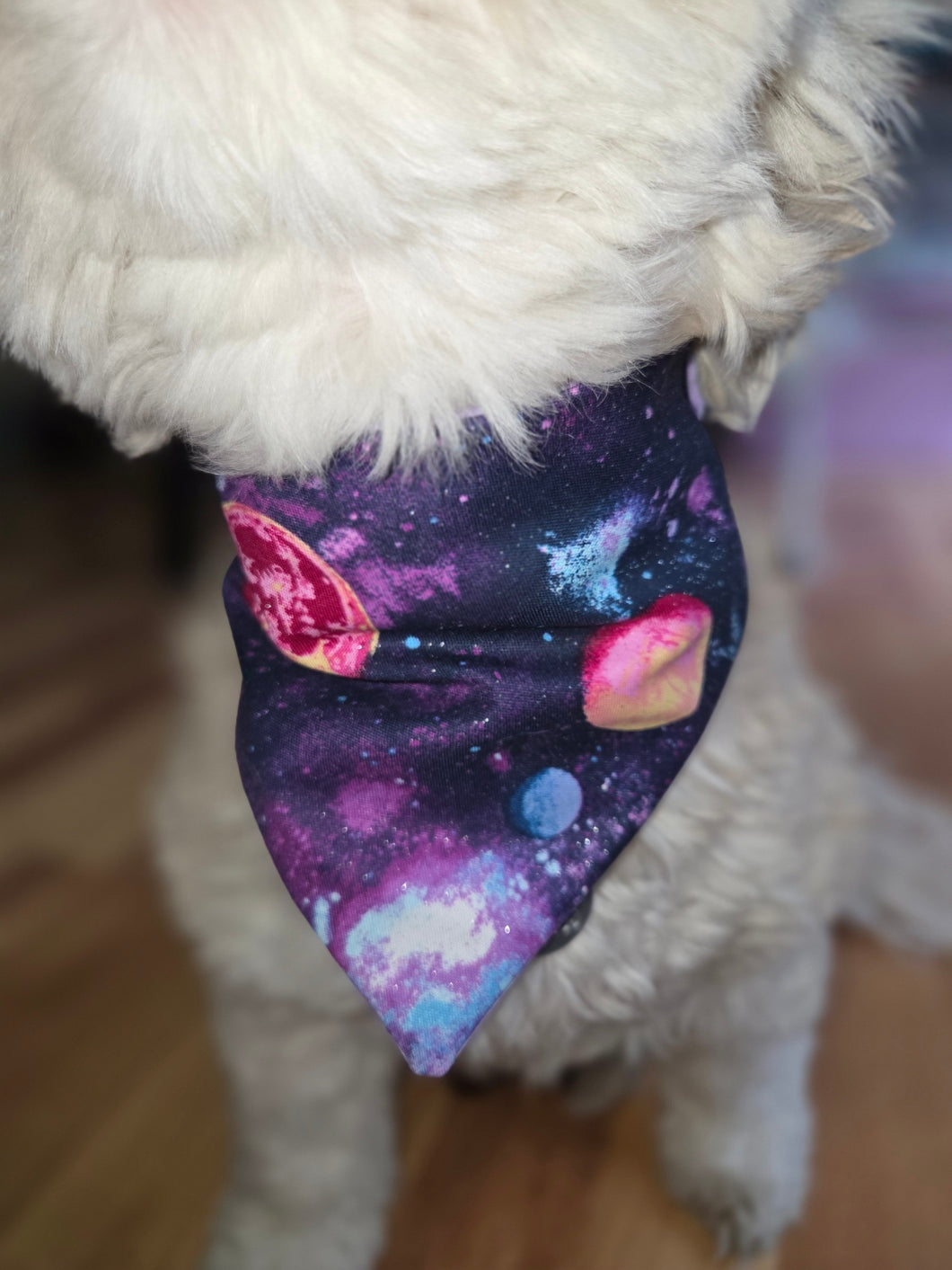 Galactic Adventure Pup Scrunchie Dog Bandana