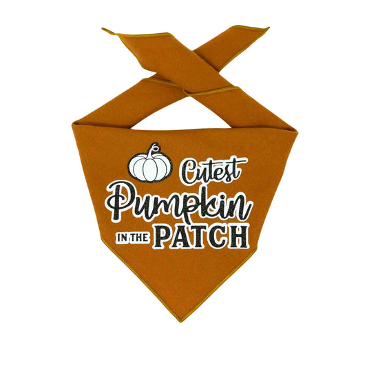 Pumpkin Spice Halloween Dog Bandana Cutest Pumpkin in the Patch