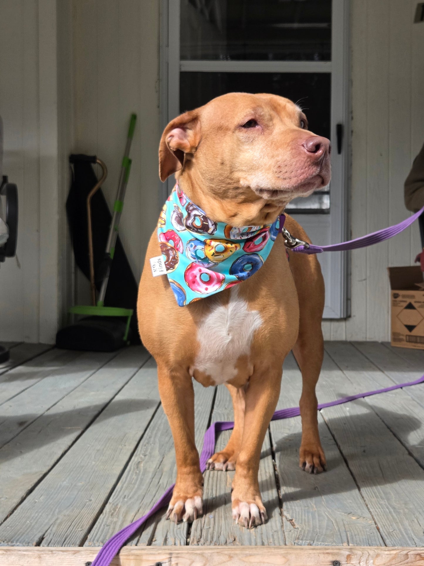 Donut Scrunchie Dog Bandana