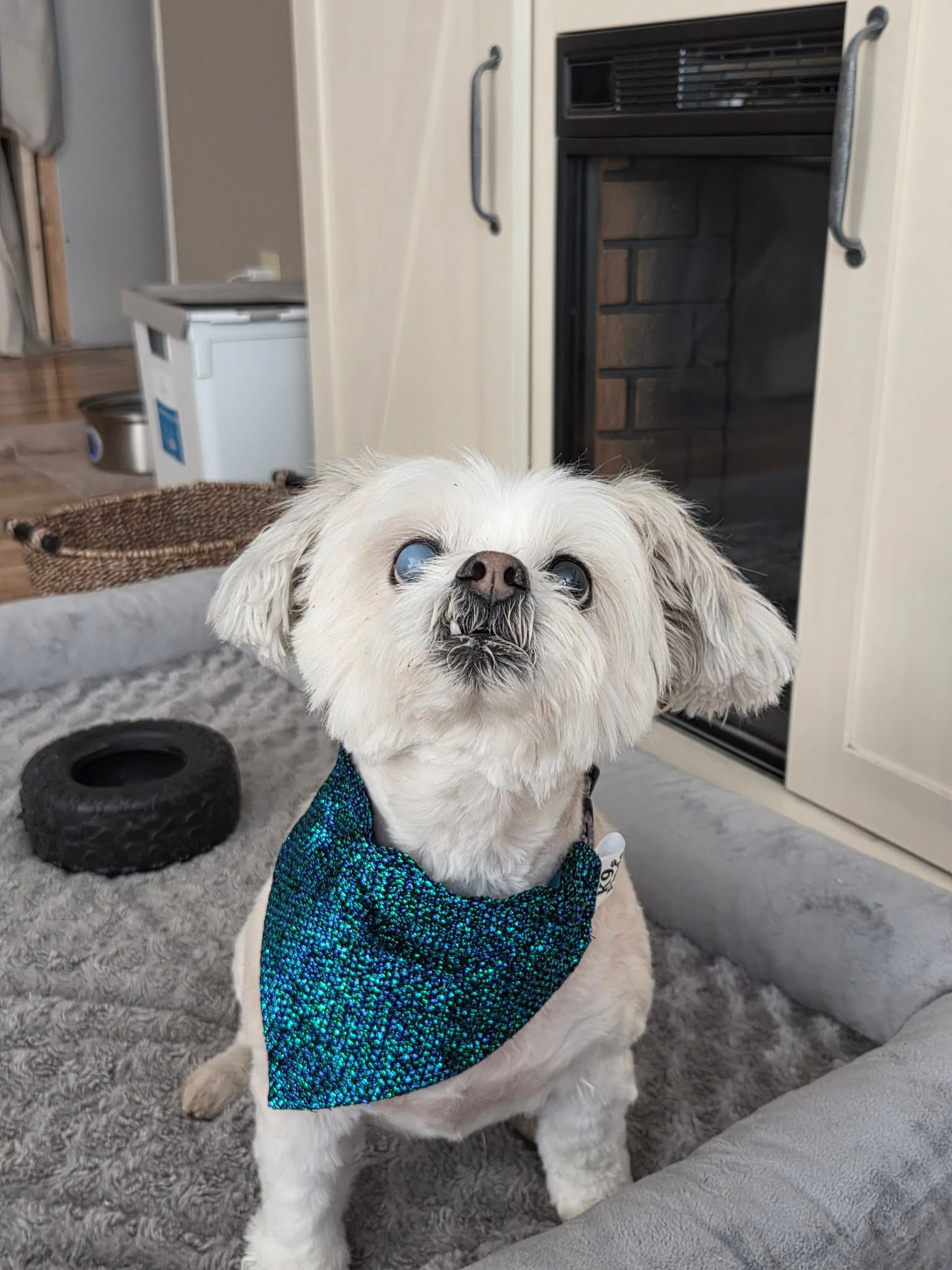 Teal Shimmer Over-the-Collar Dog Bandana
