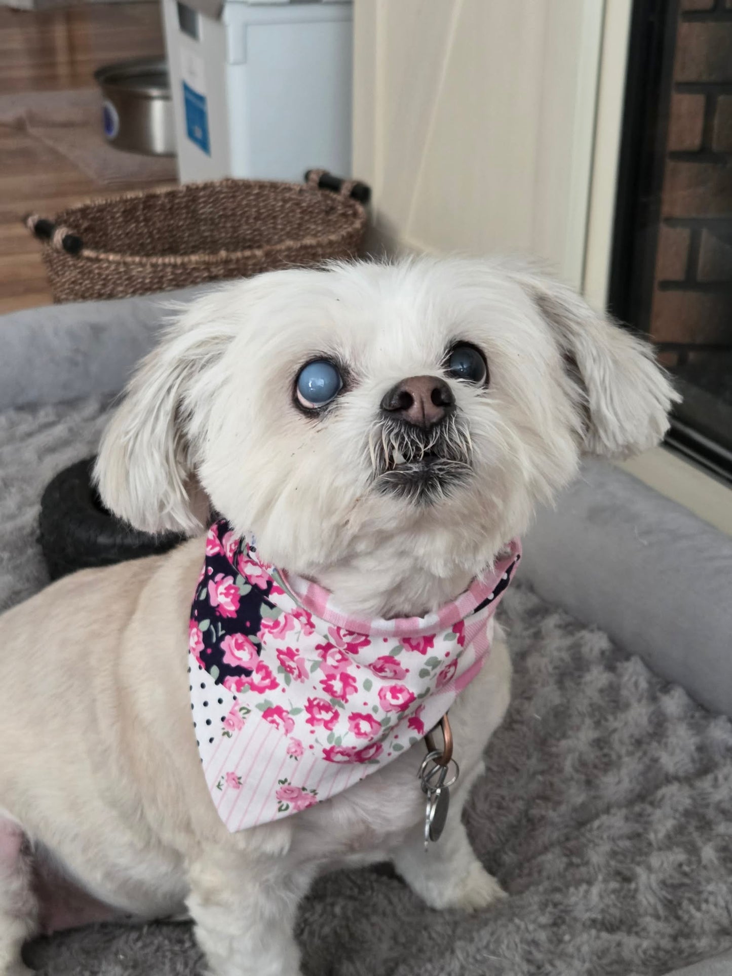 Pink Patchwork Scrunchie Bandana