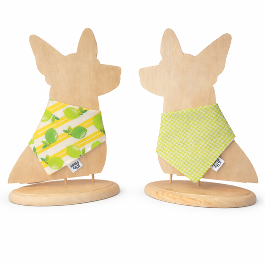 Lemon Drop Scrunchie Dog Bandana