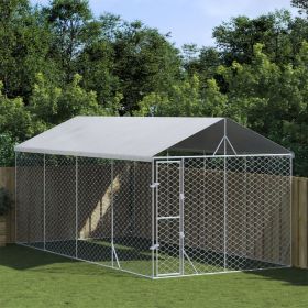 Outdoor Dog Kennel with Roof Silver 9.8'x19.7'x8.2' Galvanized Steel